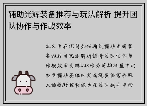 辅助光辉装备推荐与玩法解析 提升团队协作与作战效率